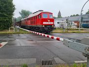 Wanheim 