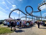 Tiger&Turtle